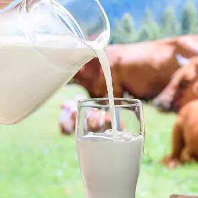 Cow milk A1 (500 ml)
